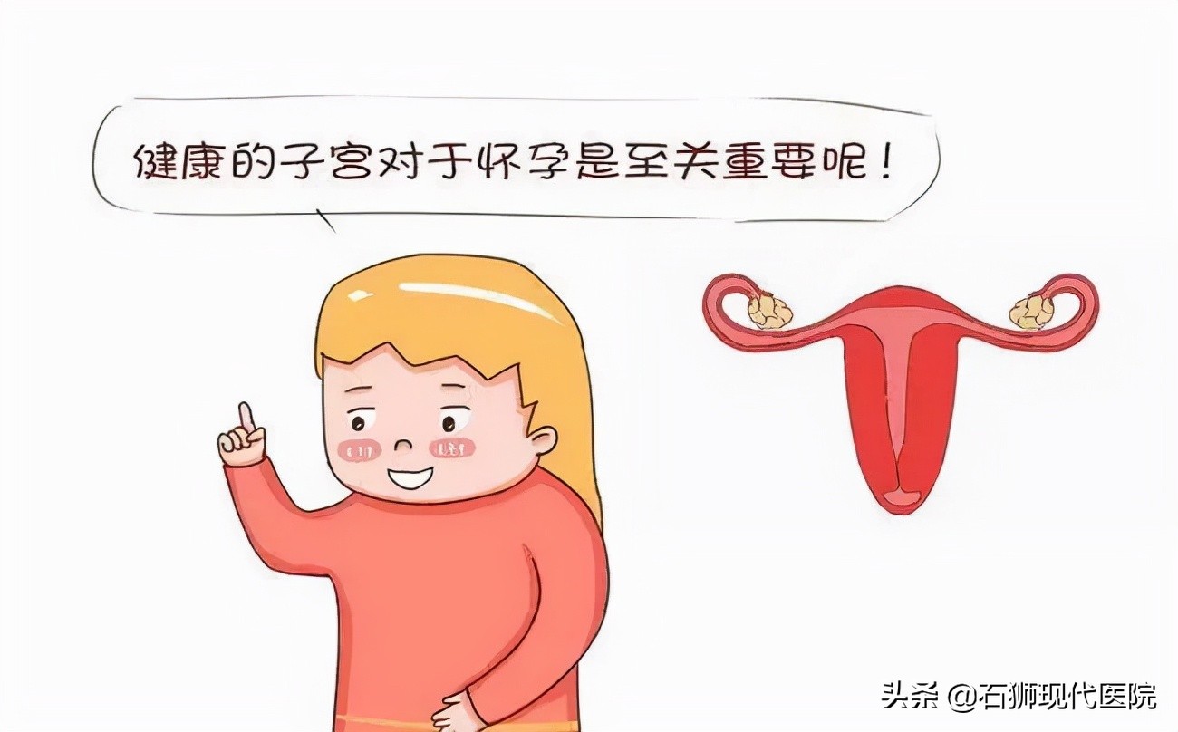 来自子宫的一封信：每位女性必须知道的几件事