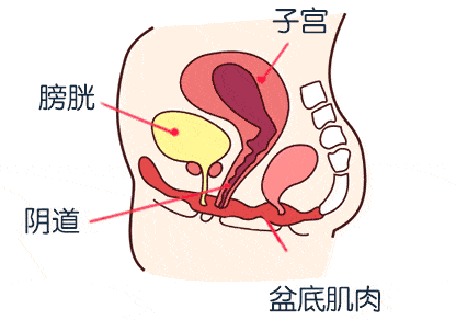 生娃后,阴道松弛、漏尿、妇科病?如何改善,就要做好这件事